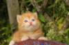 img_7251_small.jpg