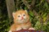 img_7252_small.jpg