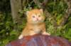 img_7254_small.jpg