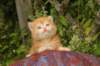 img_7257_small.jpg