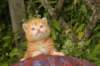 img_7258_small.jpg