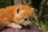 img_7261_small.jpg