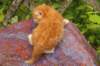 img_7262_small.jpg