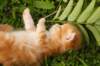 img_7271_small.jpg