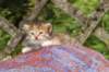 img_6835_small.jpg