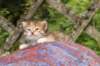 img_6836_small.jpg
