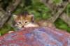 img_6837_small.jpg