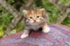 img_6839_small.jpg