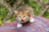 img_6840_small.jpg