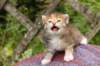 img_6844_small.jpg