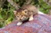 img_6846_small.jpg
