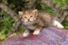 img_6848_small.jpg