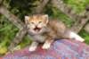 img_6849_small.jpg