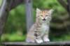 img_1034_small.jpg