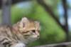 img_1037_small.jpg