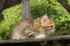 img_1040_small.jpg