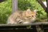 img_1046_small.jpg