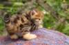 img_6917_small.jpg
