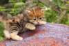 img_6918_small.jpg