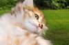 img_1126_small.jpg