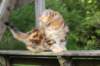 img_1267_small.jpg