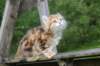 img_1274_small.jpg