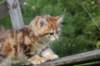 img_1278_small.jpg