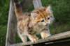 img_1283_small.jpg
