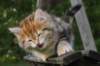 img_1289_small.jpg
