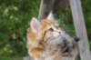 img_1292_small.jpg