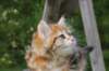 img_1293_small.jpg