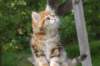 img_1300_small.jpg