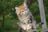 img_1301_small.jpg