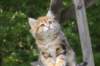 img_1302_small.jpg