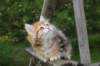 img_1304_small.jpg