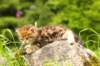 img_8161_small.jpg