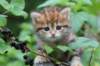 img_8172_small.jpg