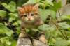 img_8173_small.jpg