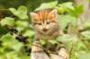 img_8175_small.jpg
