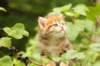img_8184_small.jpg