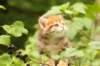 img_8185_small.jpg