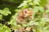 img_8186_small.jpg
