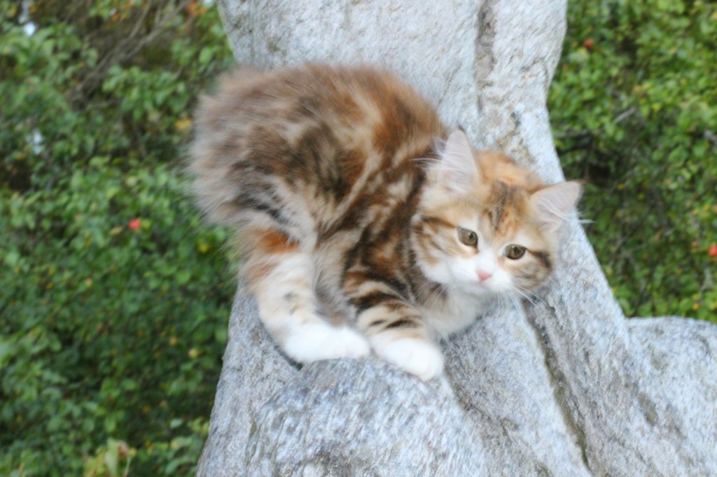 keziaimg_222511.jpg