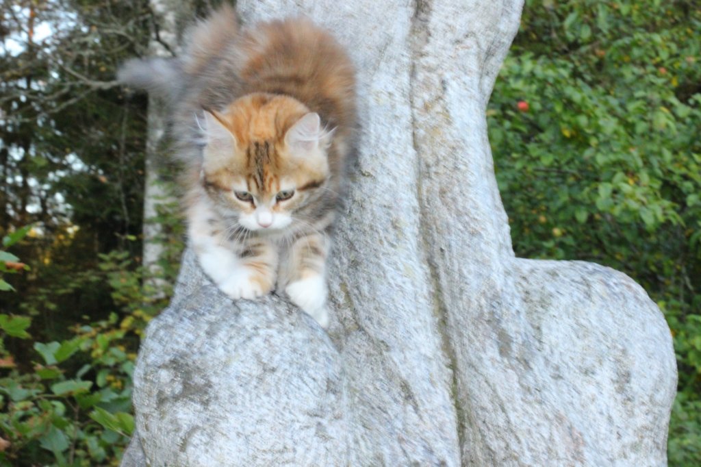 keziaimg_222516.jpg