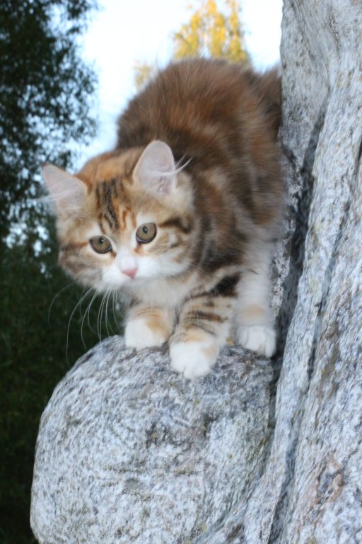 keziaimg_222526.jpg