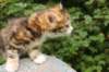 img_8778_small.jpg