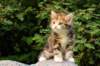 img_8783_small.jpg