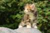 img_8784_small.jpg