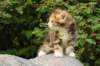 img_8785_small.jpg