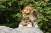 img_8786_small.jpg